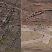 Gardens Cycle Stoyan Kutsev